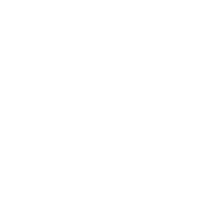 StreetMerchant icon